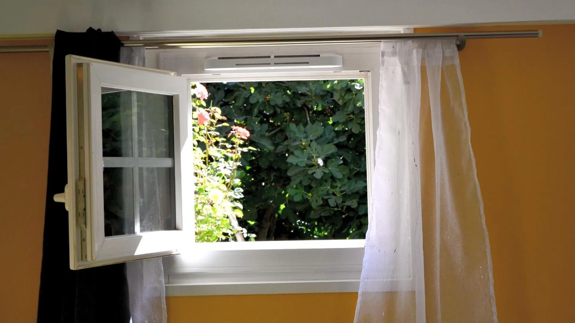 L'Atelier De Papy D'Albi - Parking - Centre Albi Accessible A Pied Apartman